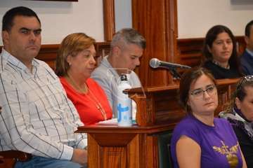 Pleno ordinario de febrero de 2020 (Foto TA)